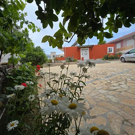 Papa Villa *