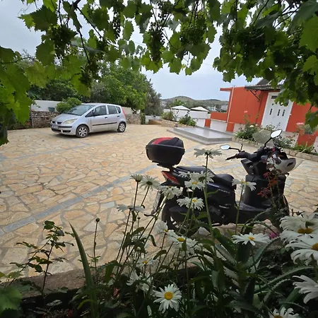 Papa Villa *