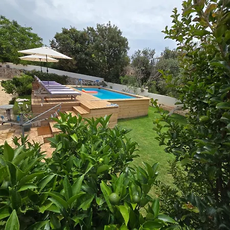 Papa Villa